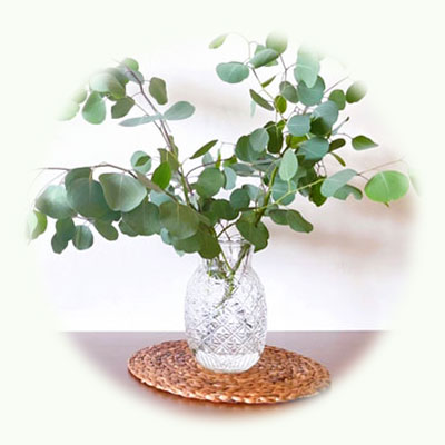 特徴2のイメージ画像