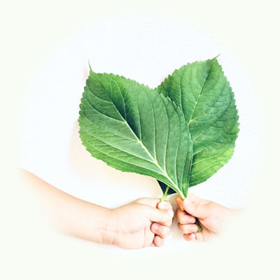 特徴1のイメージ画像